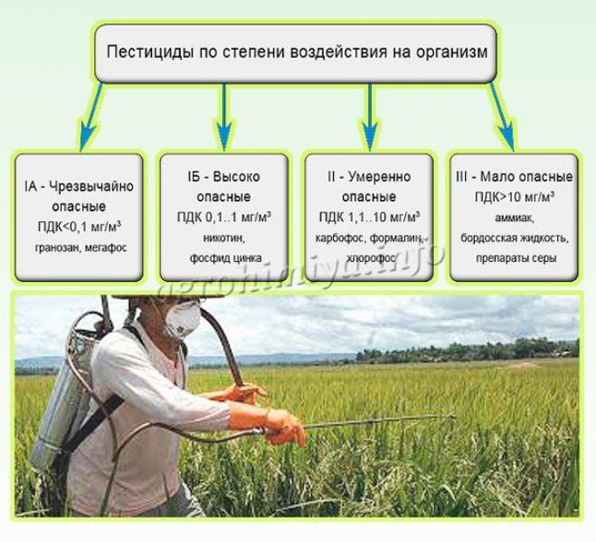 Рост пестицид. Пестициды. Пестициды и их влияние. Пестициды в сельском хозяйстве классификация. Влияние пестицидов на человека.